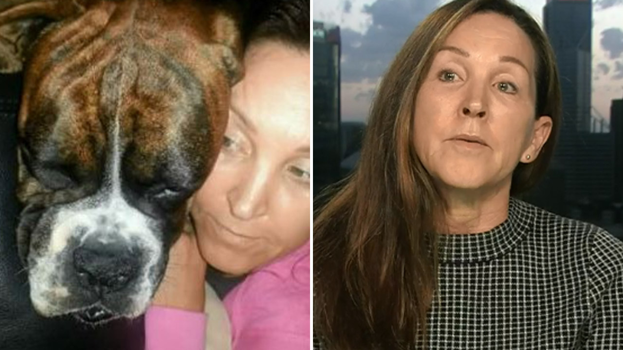 Owner of dog who died on Qantas flight says apology ‘isn’t good enough’