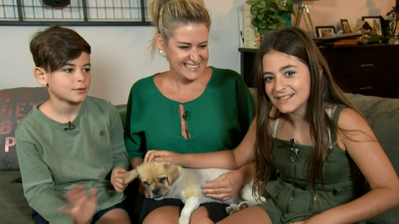 Perth family shocked when lost dog is returned after 18 months