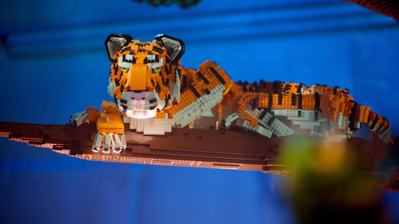 David And Gus Tiger In A Tree Build Is Revealed