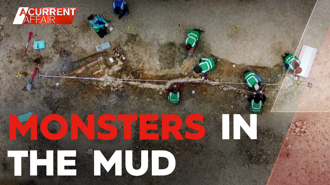 Monsters in the mud