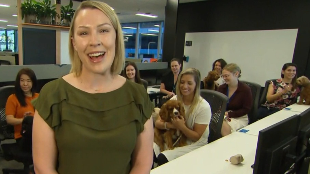 Amazon Australia encouraging staff to bring their dogs to work