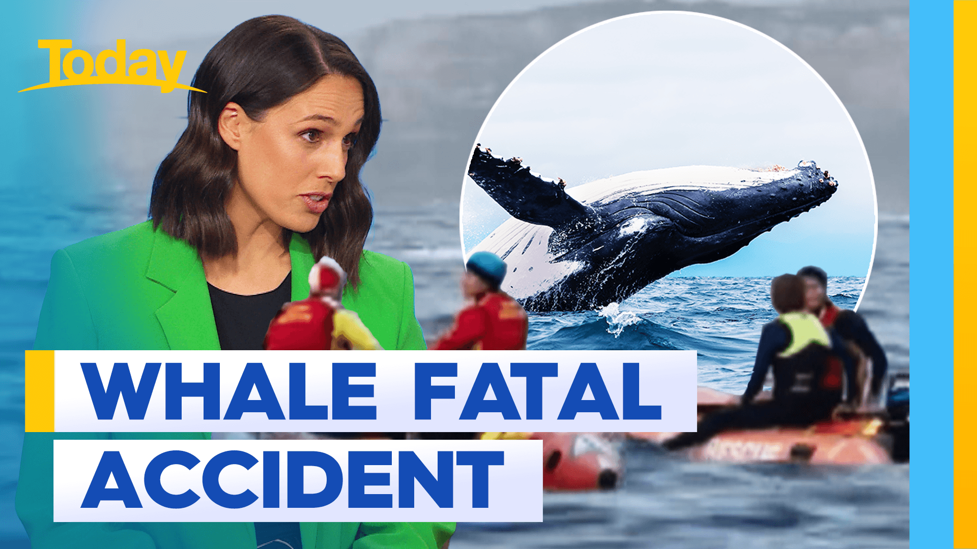 Marine life safety warning after man killed by whale
