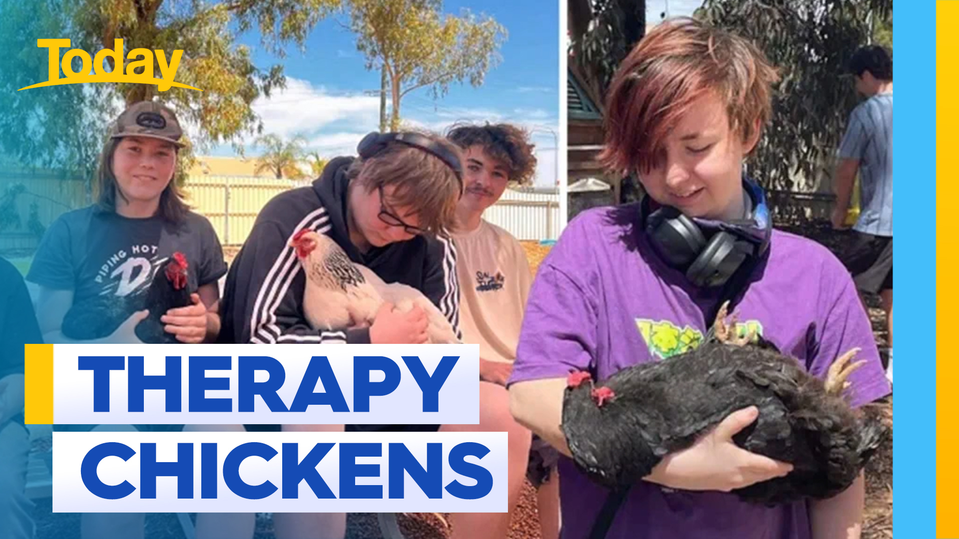 WA school using therapy chickens to help students