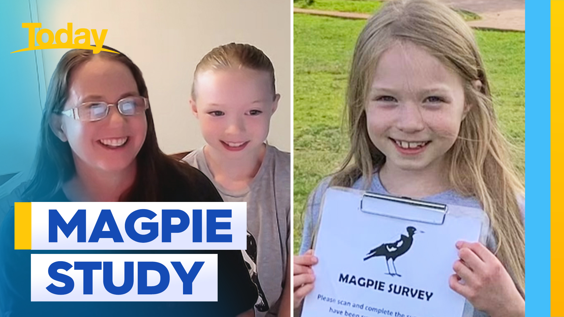 Eight-year-old's study reveals who magpies are really targeting