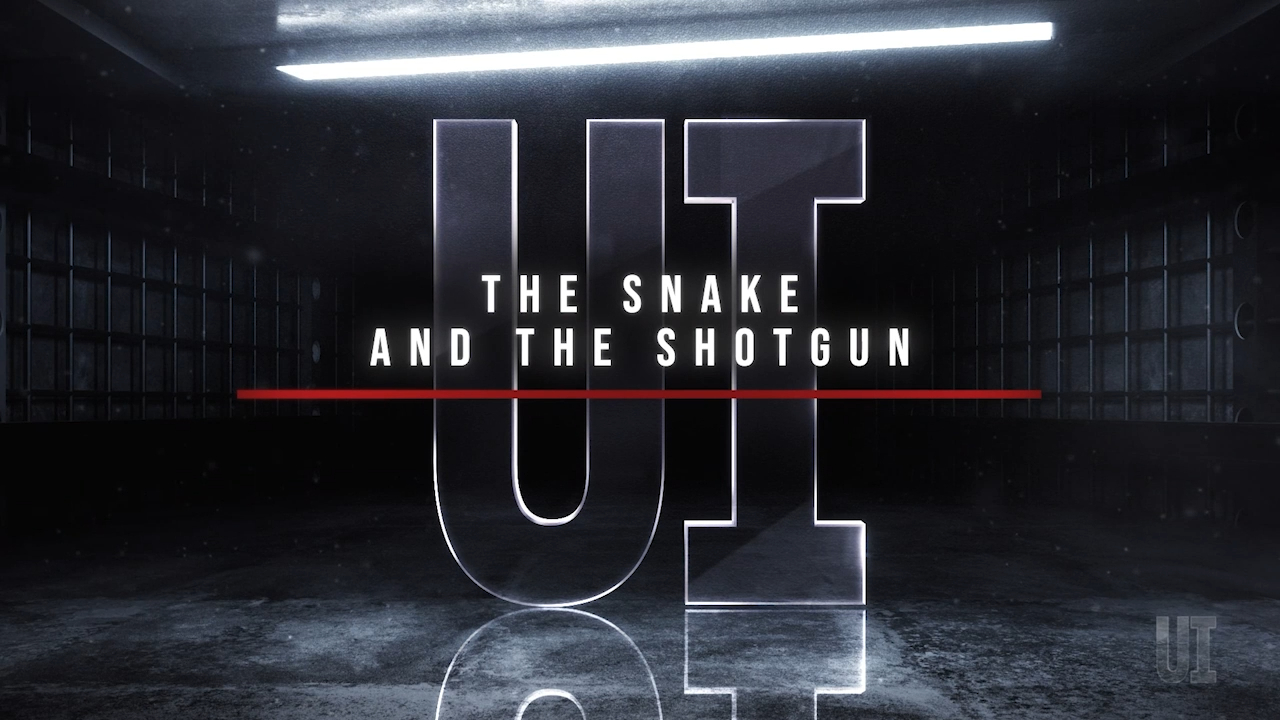The Snake and the Shotgun
