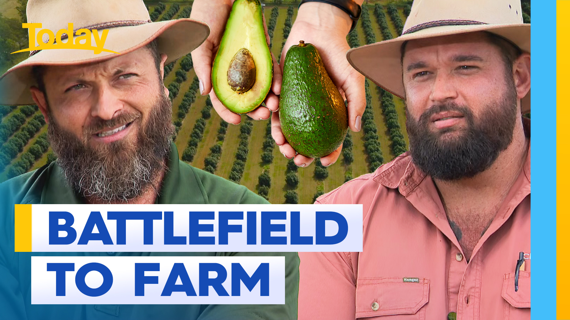 Army veterans swap their fatigues for avocado farming