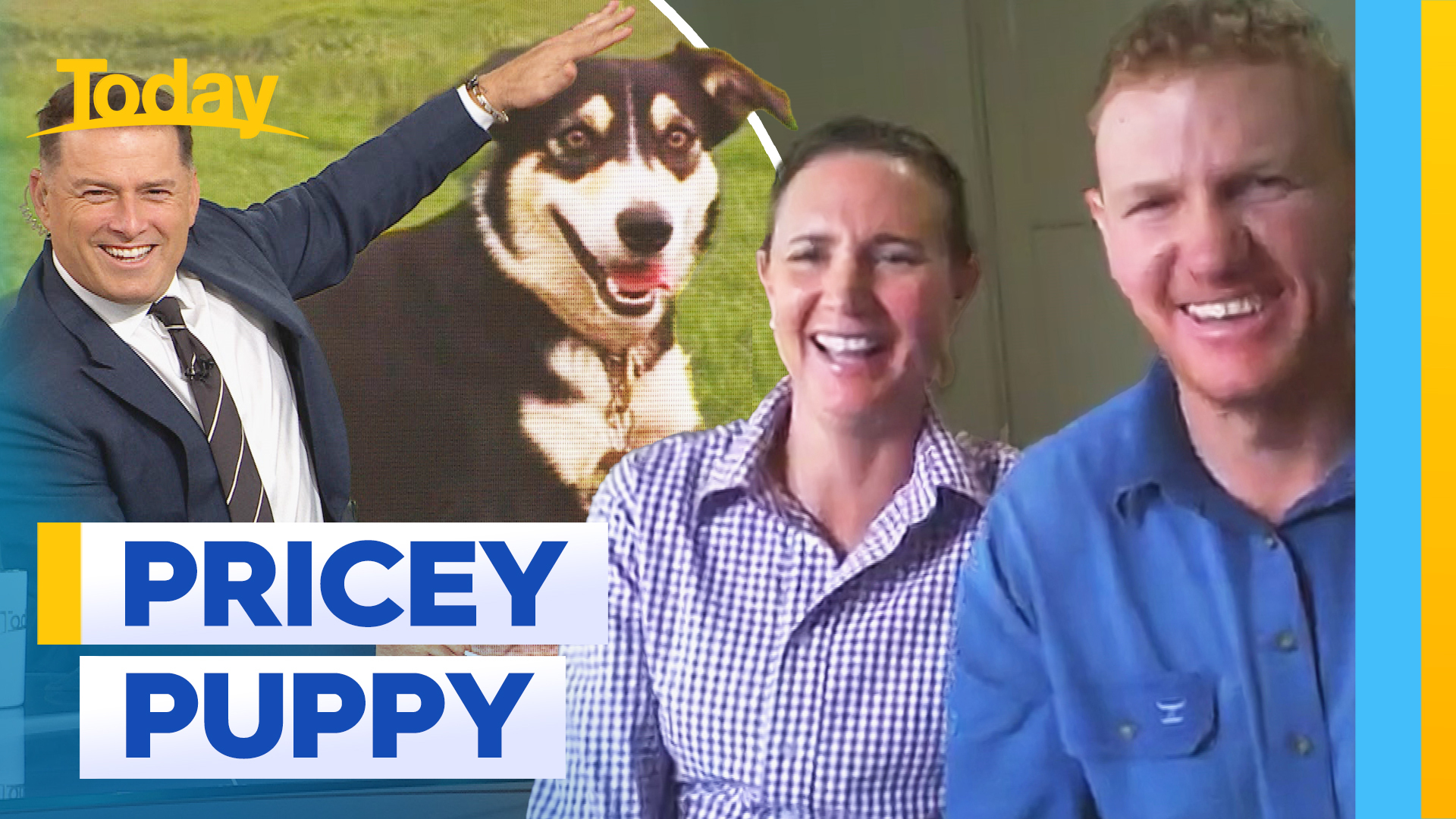 Queensland family fork out $40k on pricey new pup