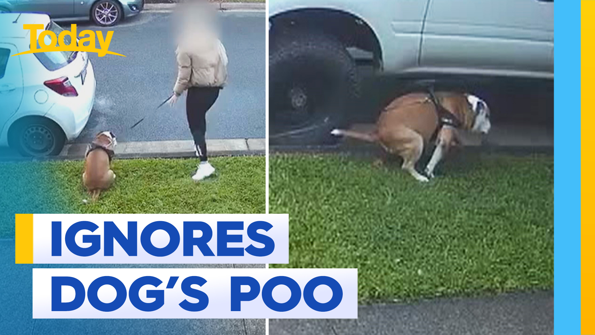 Queensland woman caught on camera not picking up her dog's poo