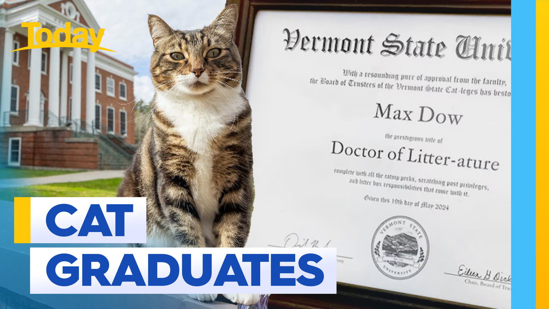 Cat given honorary doctorate by Vermont University