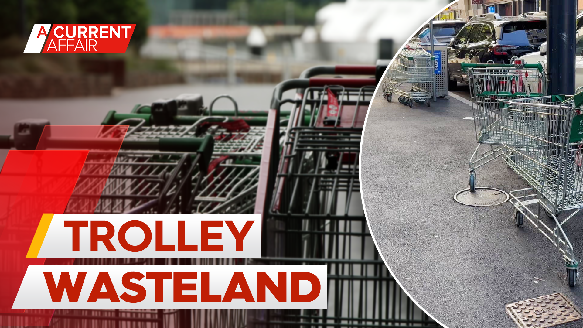 Abandoned shopping trolleys turning waterfront suburb into a dump land