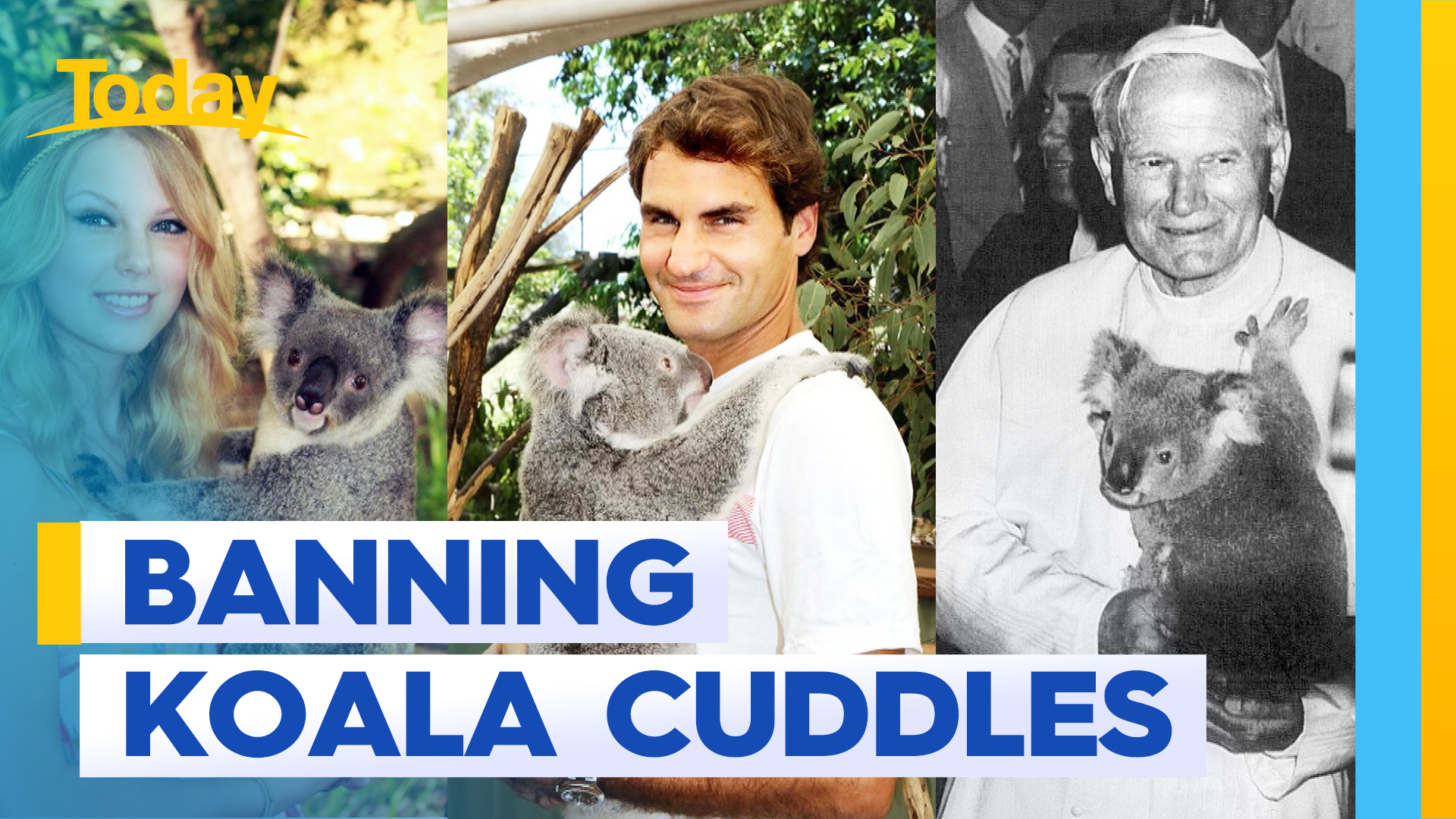 Aussie sanctuary makes bold move to stop koala cuddles