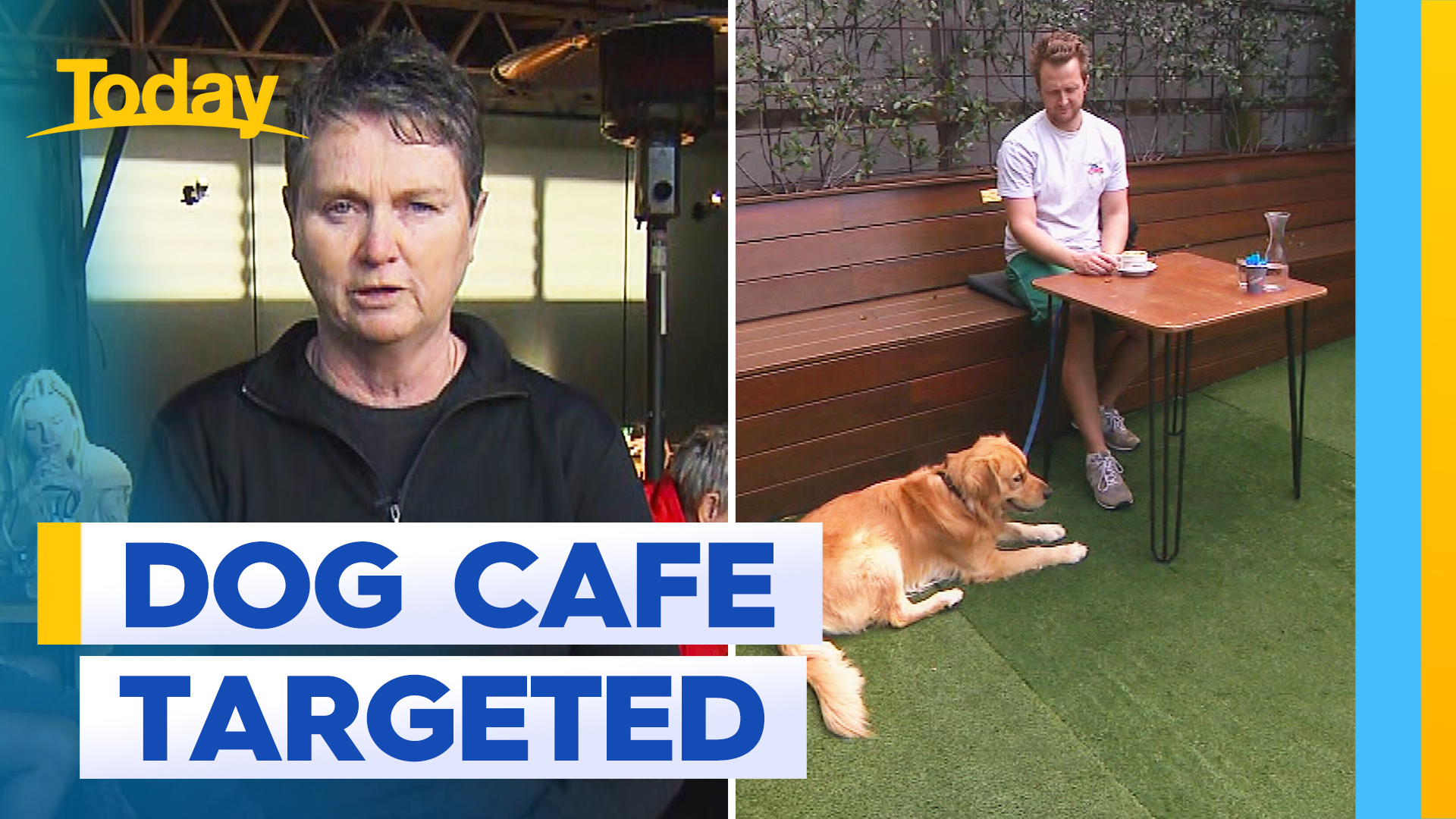 Brisbane dog cafe targeted by council after customer complaint