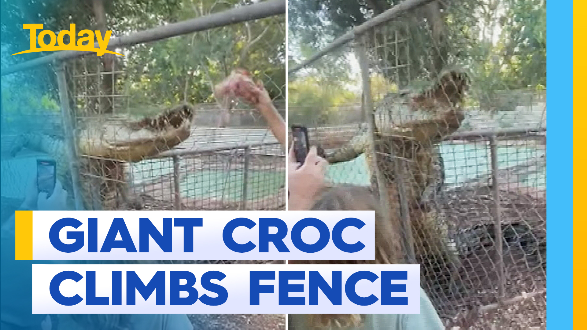 Audience told to run as crocodiles scale park fence