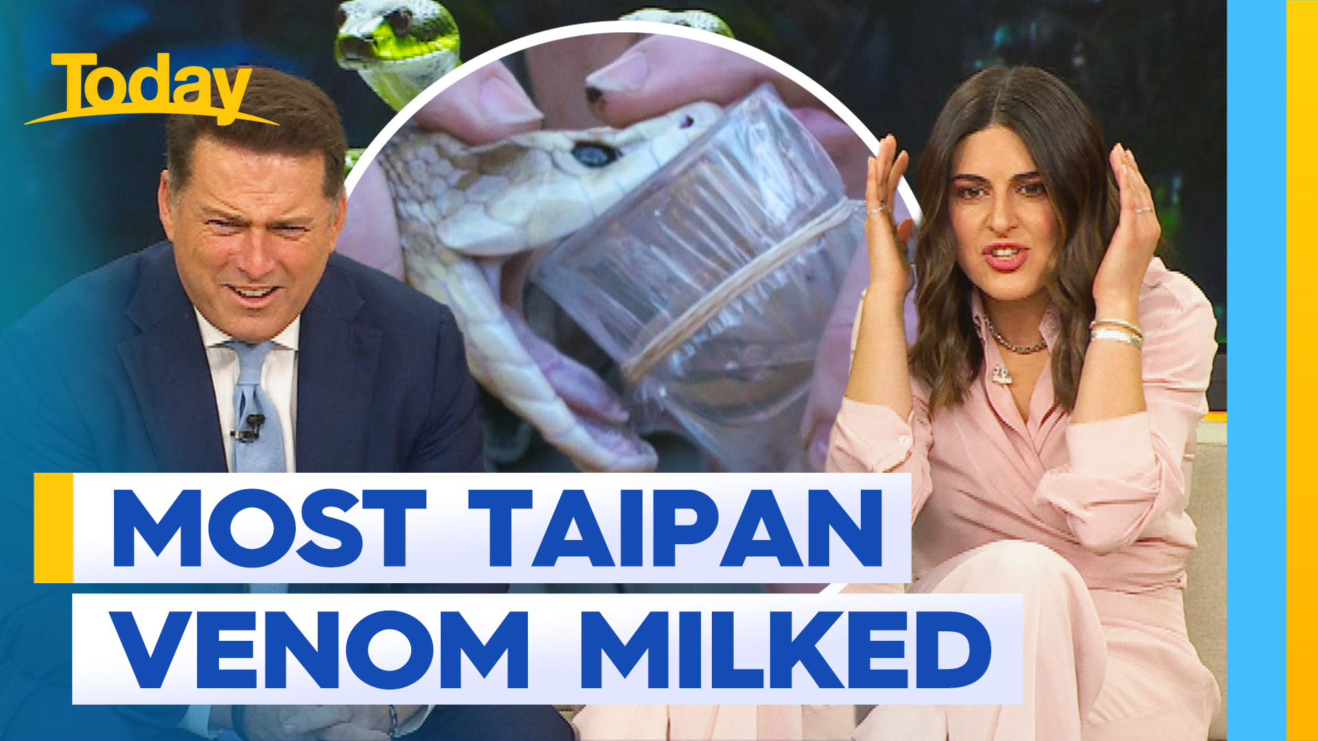 Australian Reptile Park breaks record for most Taipan venom milked
