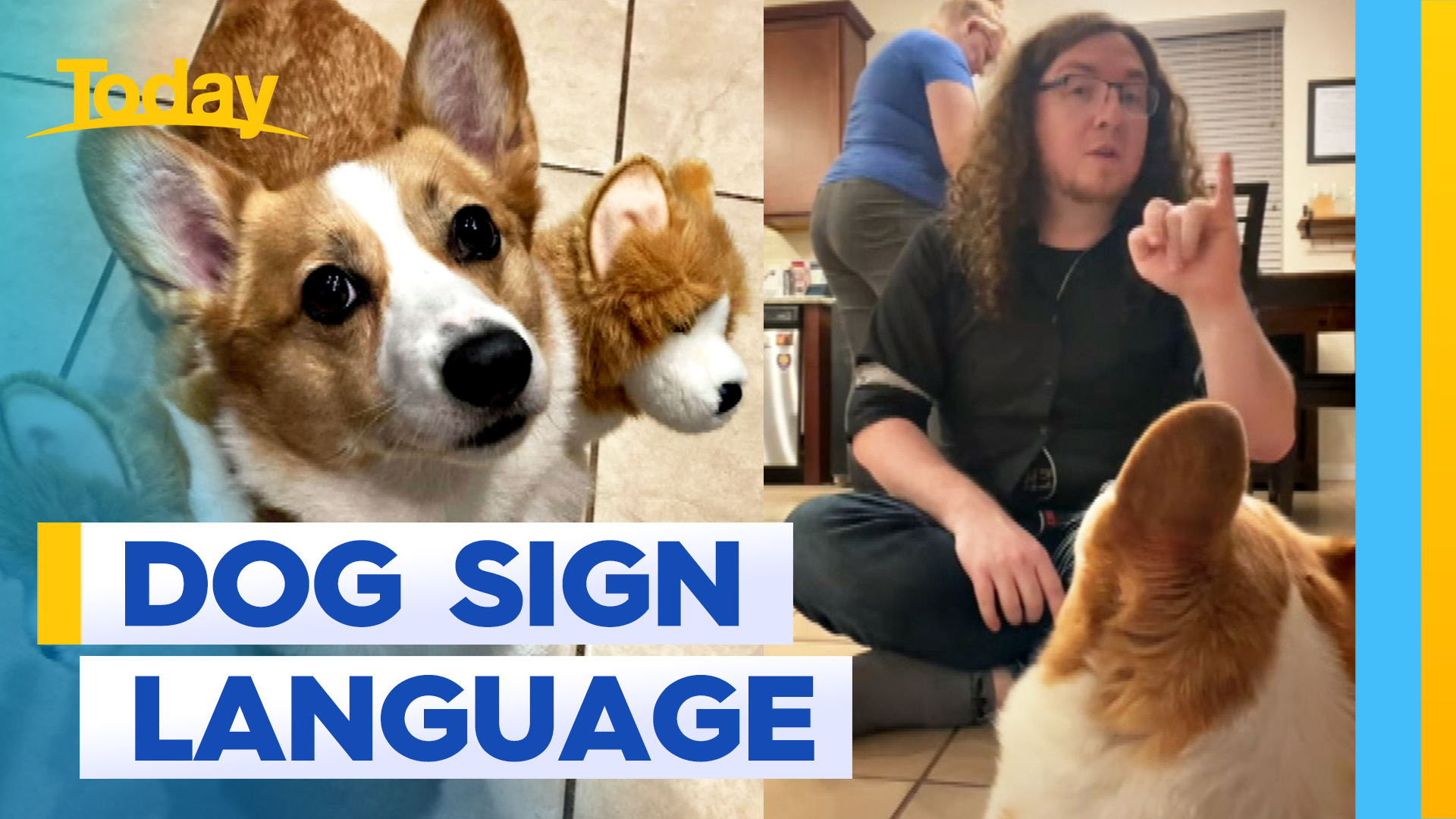 Pet dog picks up on owner's sign language